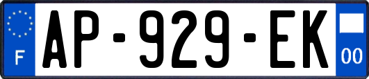 AP-929-EK