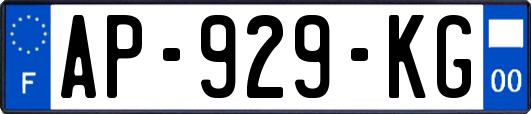 AP-929-KG