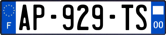 AP-929-TS