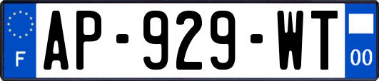 AP-929-WT