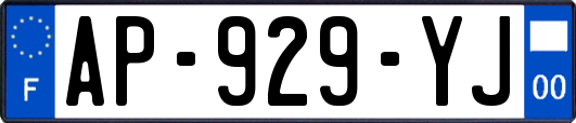 AP-929-YJ
