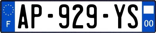 AP-929-YS