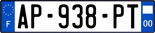 AP-938-PT