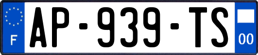 AP-939-TS