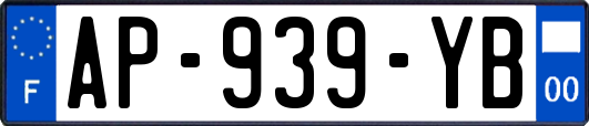 AP-939-YB