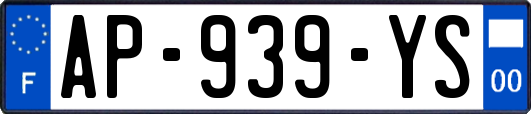 AP-939-YS
