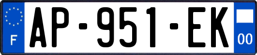 AP-951-EK