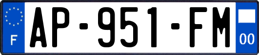 AP-951-FM