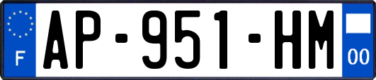 AP-951-HM