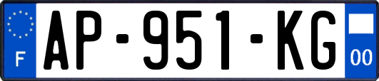 AP-951-KG