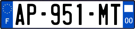 AP-951-MT