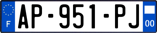 AP-951-PJ