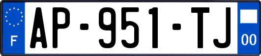 AP-951-TJ