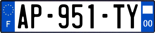 AP-951-TY