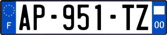 AP-951-TZ