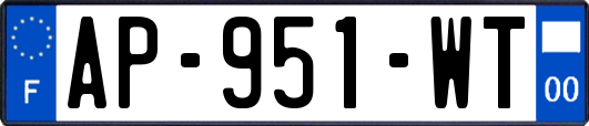 AP-951-WT
