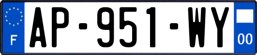 AP-951-WY