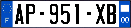 AP-951-XB
