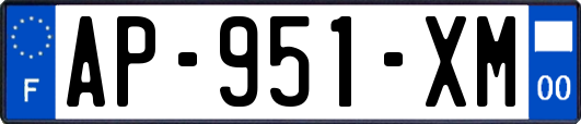 AP-951-XM