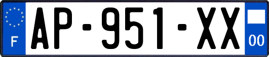 AP-951-XX