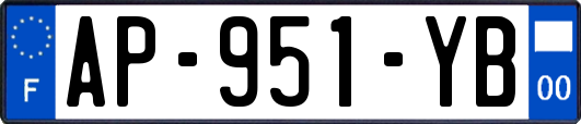 AP-951-YB