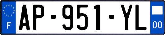 AP-951-YL