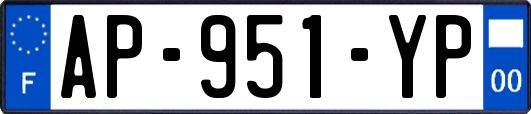 AP-951-YP