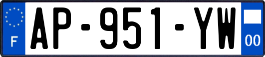AP-951-YW
