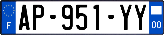 AP-951-YY