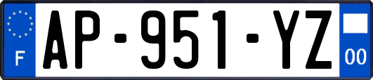 AP-951-YZ