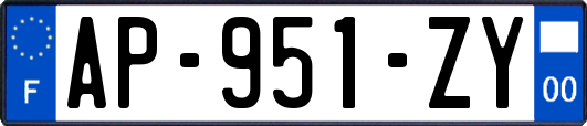 AP-951-ZY