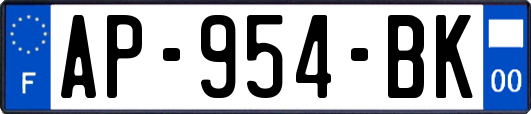 AP-954-BK