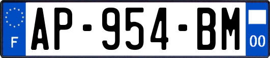 AP-954-BM