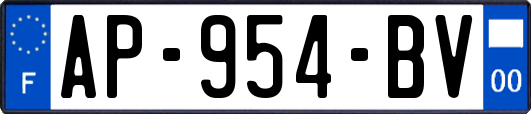 AP-954-BV