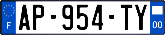 AP-954-TY