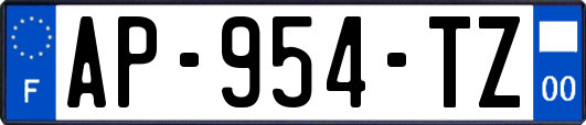 AP-954-TZ