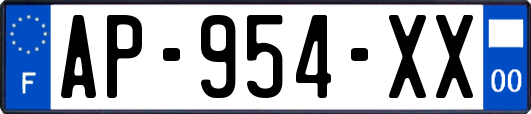 AP-954-XX