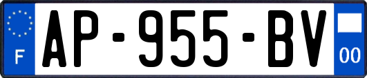 AP-955-BV