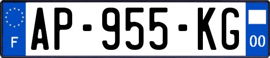 AP-955-KG