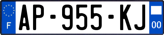 AP-955-KJ