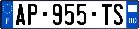 AP-955-TS