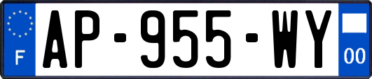 AP-955-WY