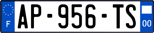 AP-956-TS