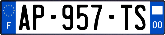 AP-957-TS