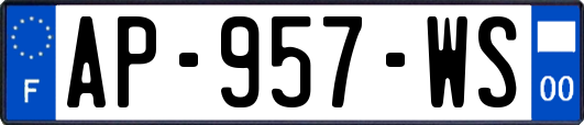AP-957-WS