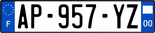AP-957-YZ