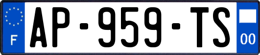 AP-959-TS