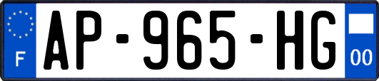 AP-965-HG