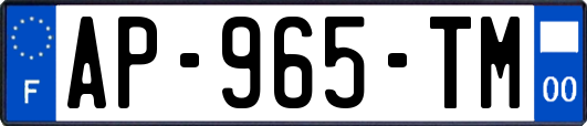 AP-965-TM