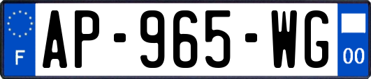 AP-965-WG